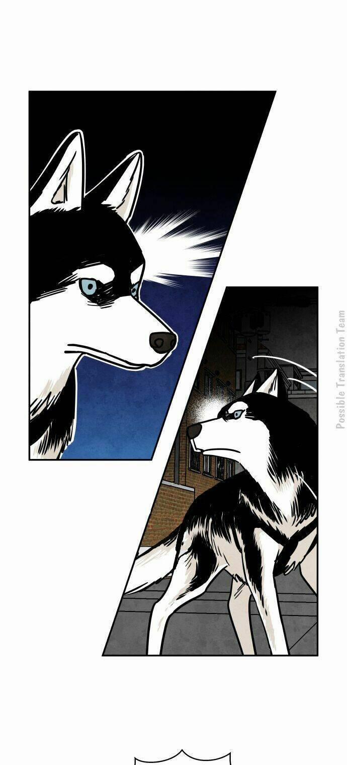 Nàng Chó Sói Và Chiếc Khăn Choàng Đỏ 28 trang 36