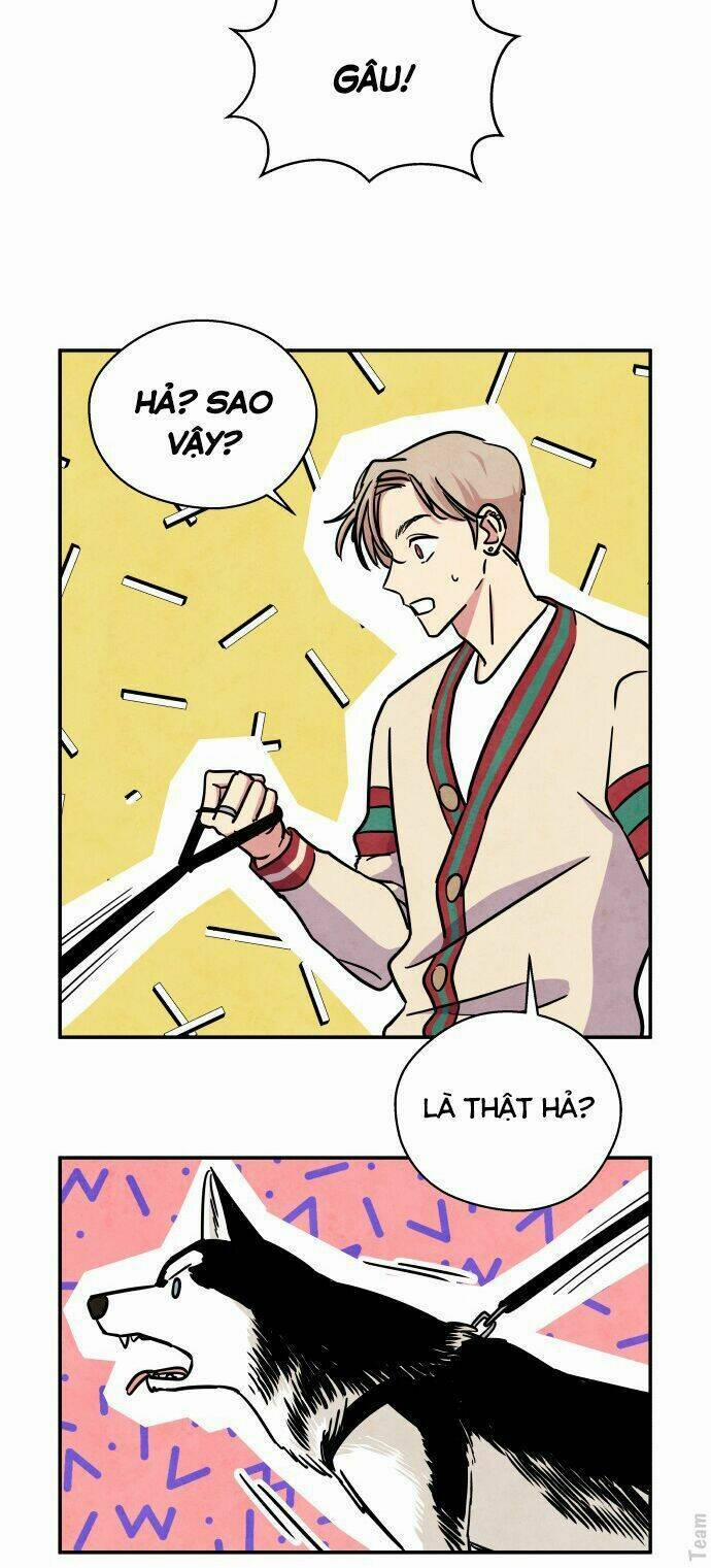 Nàng Chó Sói Và Chiếc Khăn Choàng Đỏ 28 trang 37