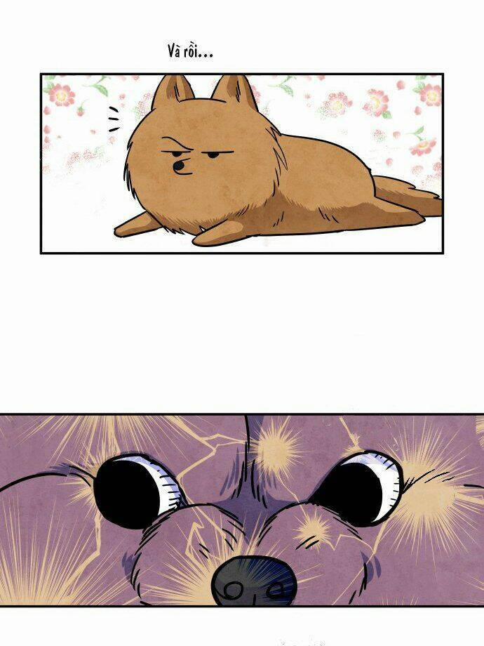 Nàng Chó Sói Và Chiếc Khăn Choàng Đỏ 31 trang 10