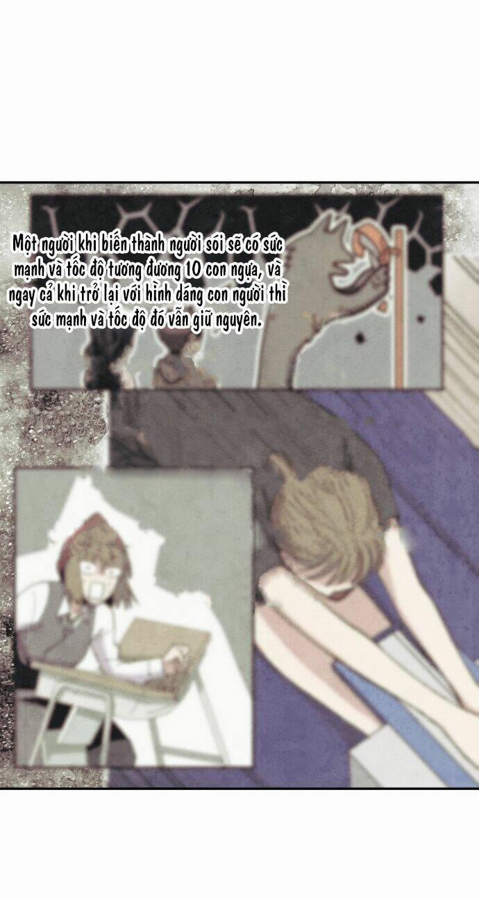 Nàng Chó Sói Và Chiếc Khăn Choàng Đỏ 34 trang 26