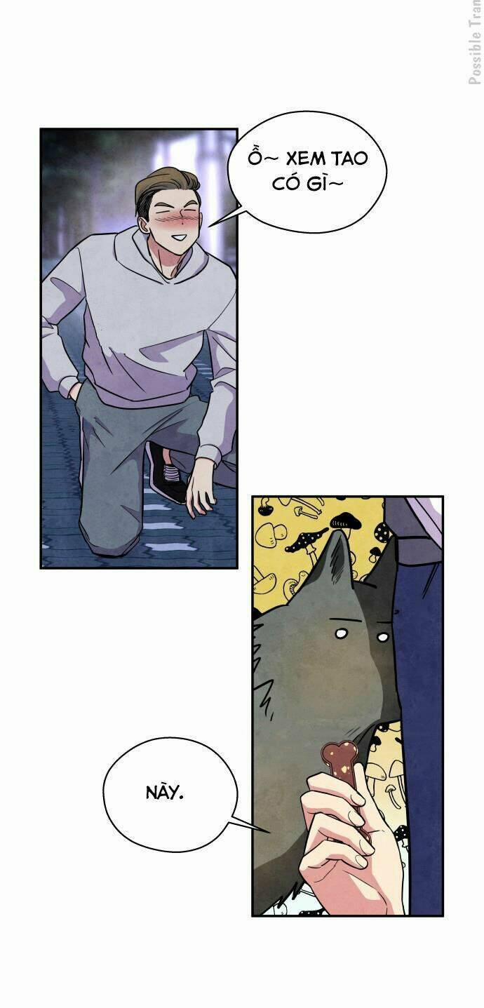 Nàng Chó Sói Và Chiếc Khăn Choàng Đỏ 38 trang 13