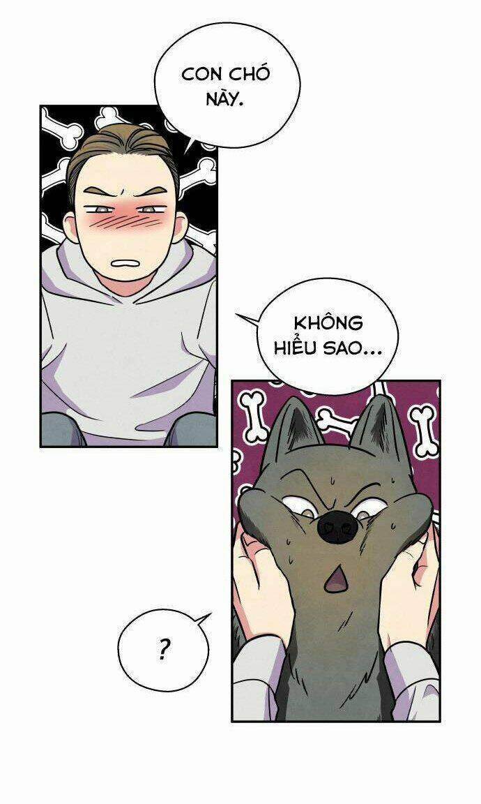 Nàng Chó Sói Và Chiếc Khăn Choàng Đỏ 38 trang 21