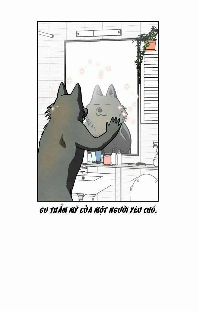 Nàng Chó Sói Và Chiếc Khăn Choàng Đỏ 38 trang 60