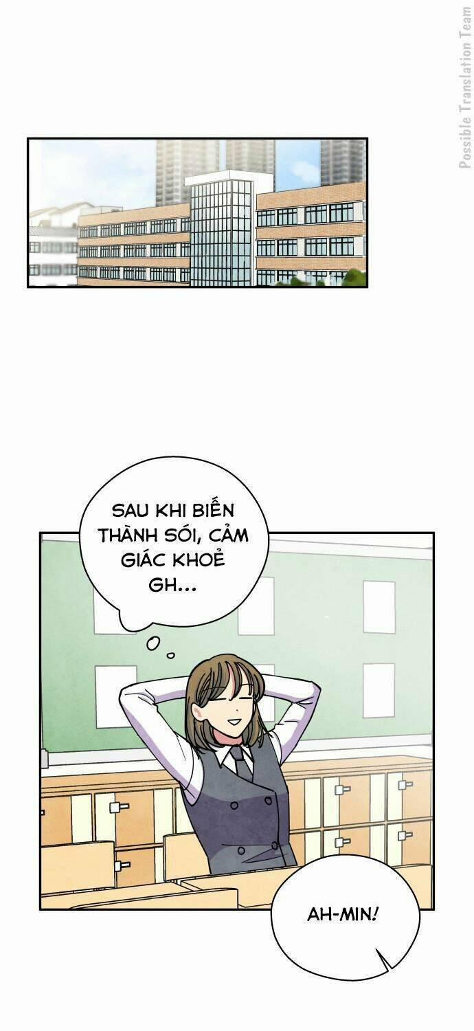 Nàng Chó Sói Và Chiếc Khăn Choàng Đỏ 39 trang 2