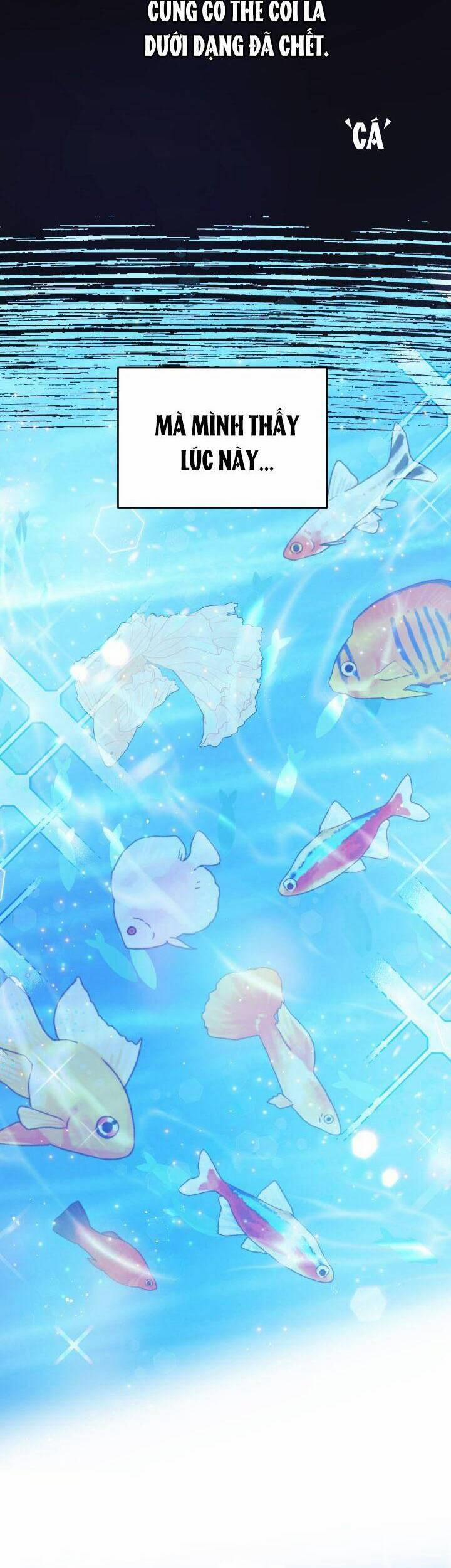 Nàng Công Chúa Tiên Cá 5 trang 1