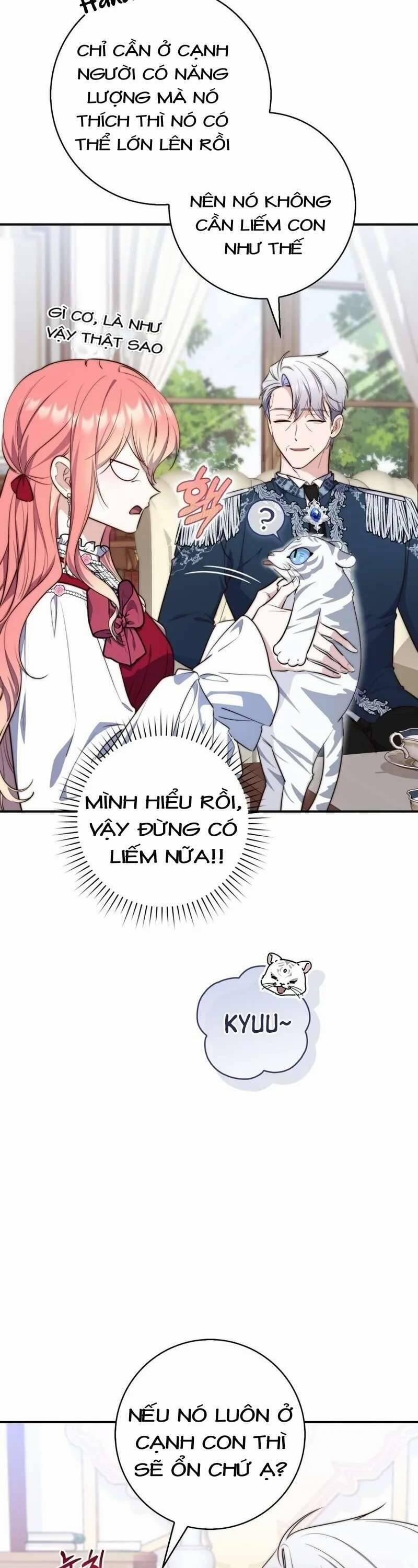 Nàng Công Chúa Tiên Tri 24 trang 1