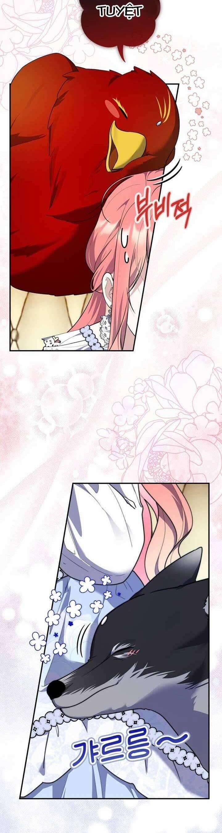 Nàng Công Chúa Tiên Tri 35 trang 1