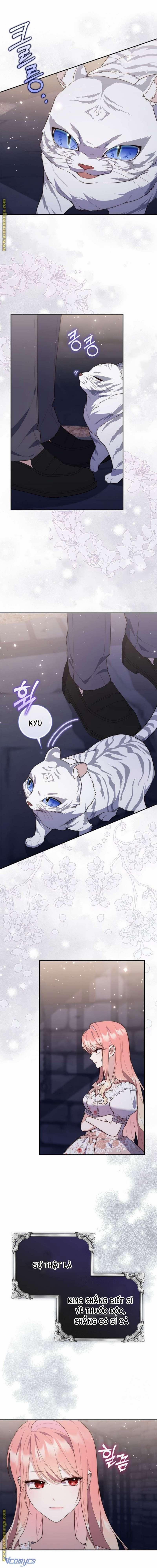 Nàng Công Chúa Tiên Tri 77 trang 11