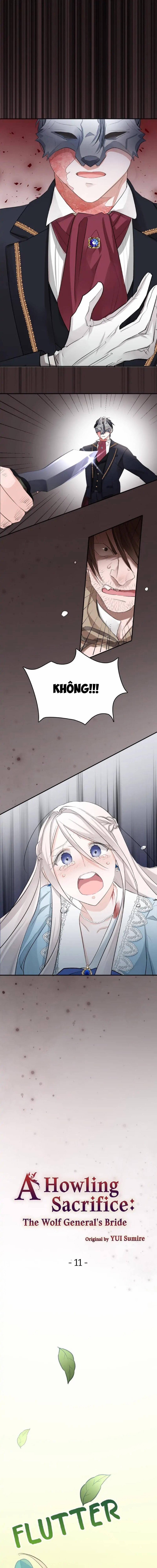 Nàng Dâu Tế Phẩm Của Tướng Quân Sói 11.1 trang 1