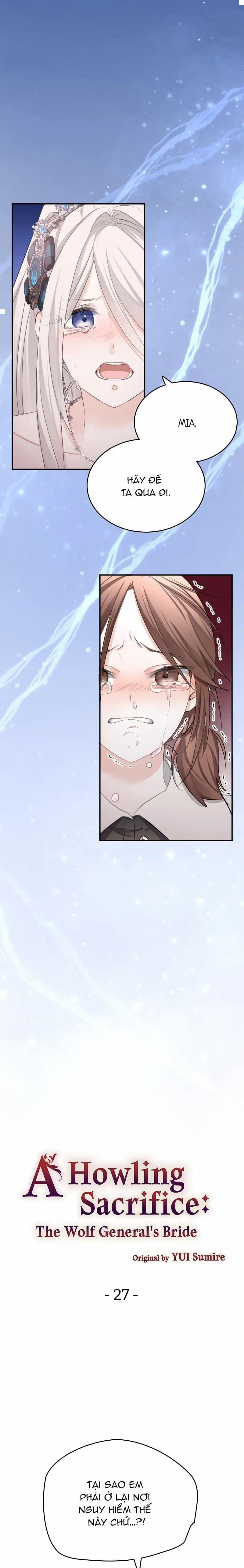 Nàng Dâu Tế Phẩm Của Tướng Quân Sói 27.1 trang 1