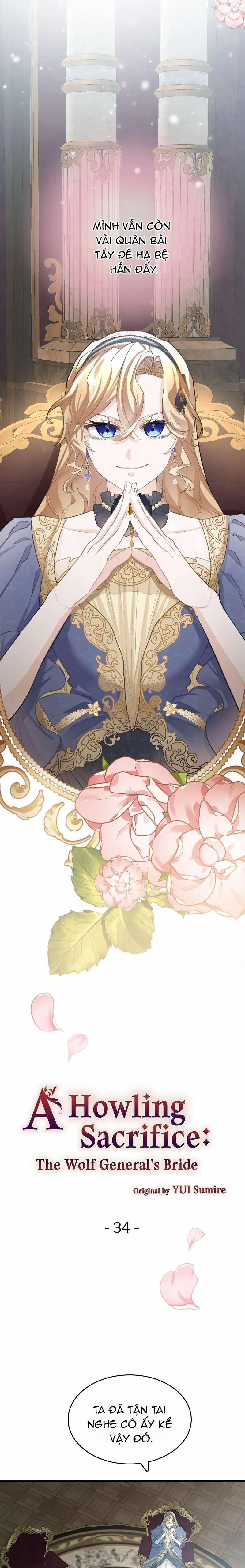 Nàng Dâu Tế Phẩm Của Tướng Quân Sói 34.1 trang 1