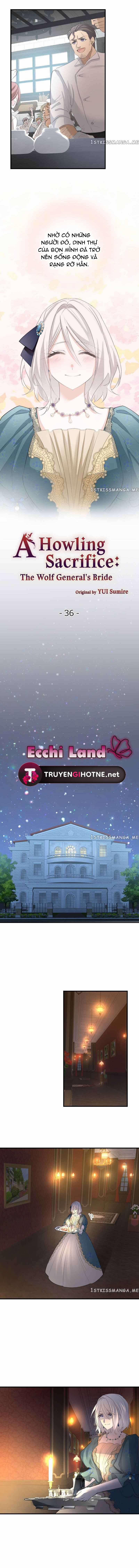 Nàng Dâu Tế Phẩm Của Tướng Quân Sói 36.1 trang 2