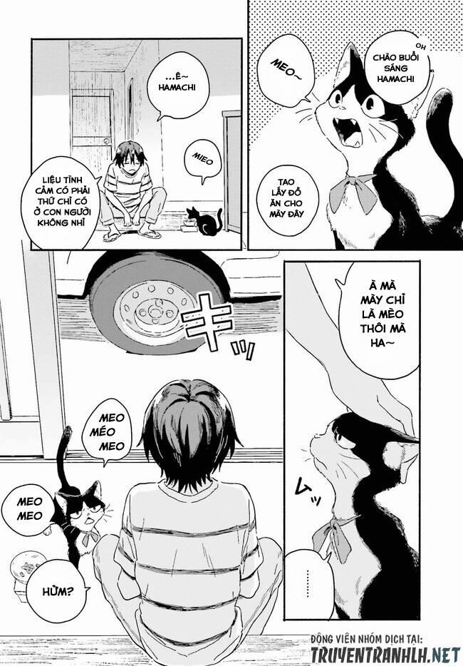 Nàng Hầu Cá Mập Bên Bờ Biển 0.0 Cảm xúc của tiên cá 0 Cảm xúc của con người trang 8