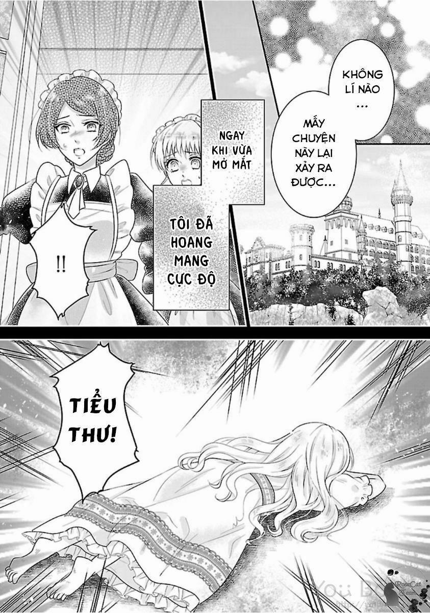 Nàng Lọ Lem Giả Mạo 1 trang 6