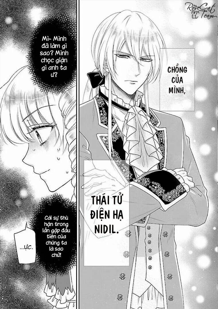 Nàng Lọ Lem Giả Mạo 3 trang 13