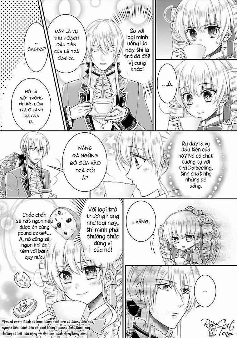 Nàng Lọ Lem Giả Mạo 3 trang 23