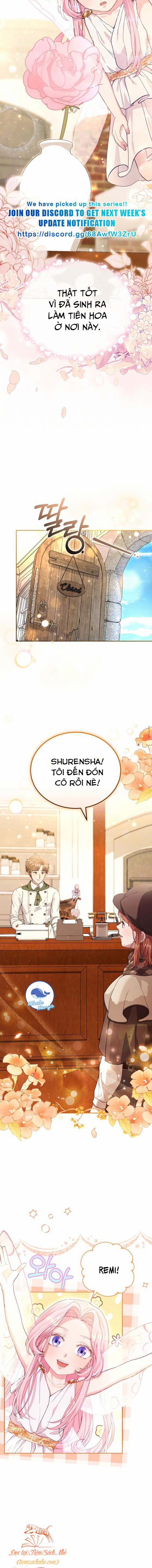 Nàng Tiên, Hãy Ký Hợp Đồng Nào 15 trang 6