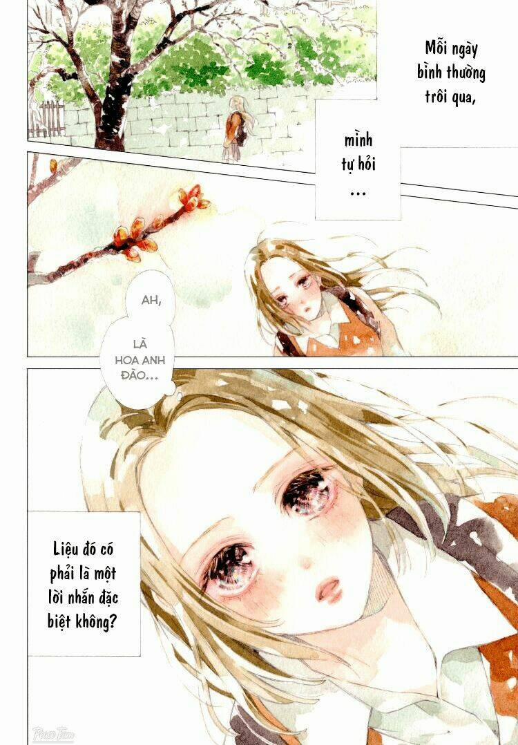 Nàng Tiểu Thư Và Chàng Vệ Sĩ 1 trang 4