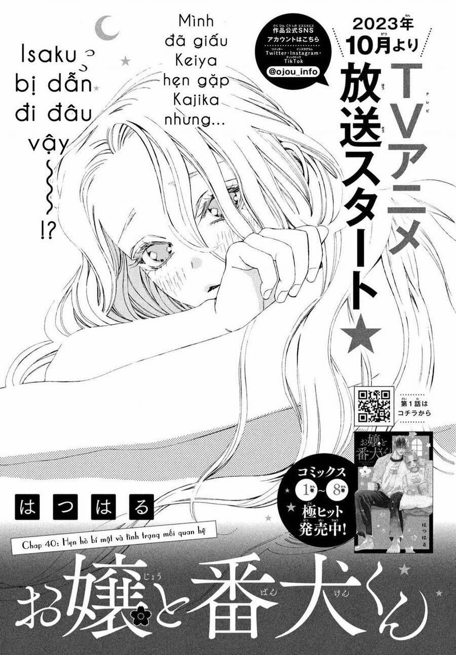 Nàng Tiểu Thư Và Chàng Vệ Sĩ 40 trang 0