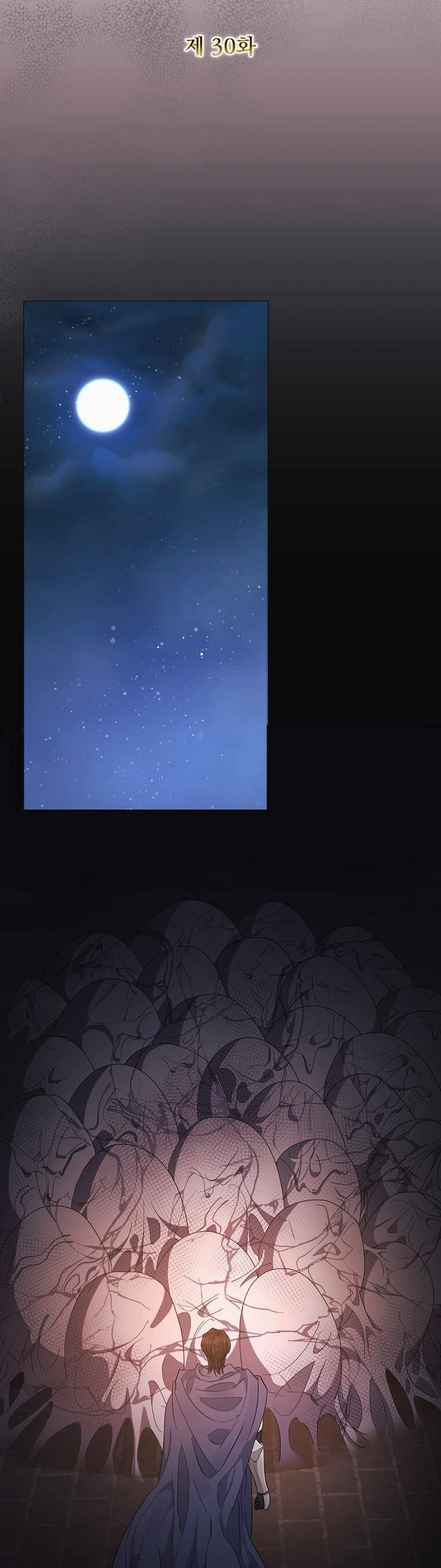 Này Người Chồng Phản Diện, Ngài Ám Ảnh Sai Người Rồi 30 trang 13