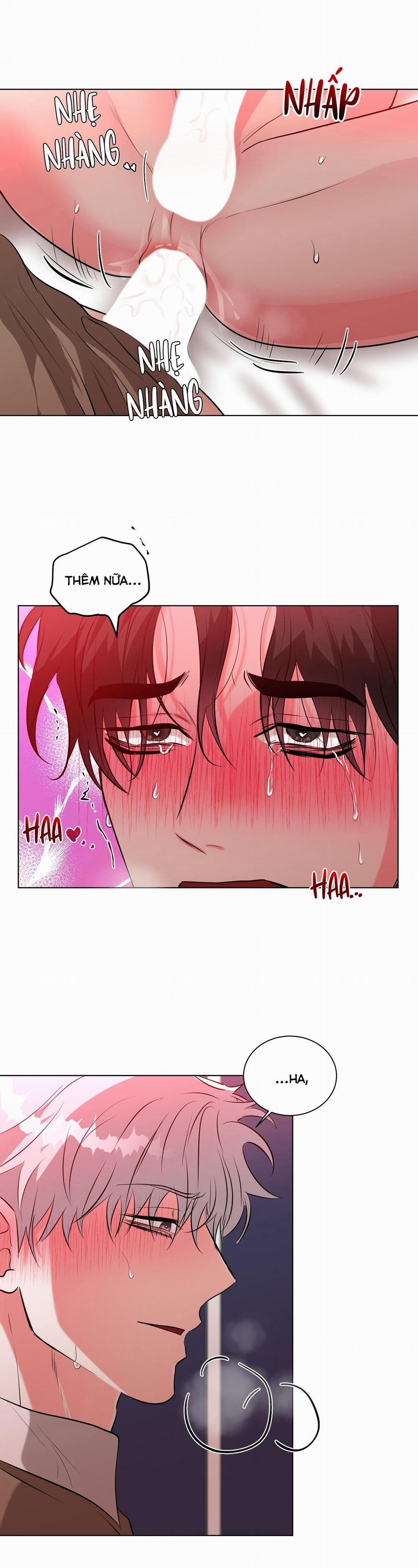 NÊN NẮM TAY TRƯỚC SAO? 5 trang 19