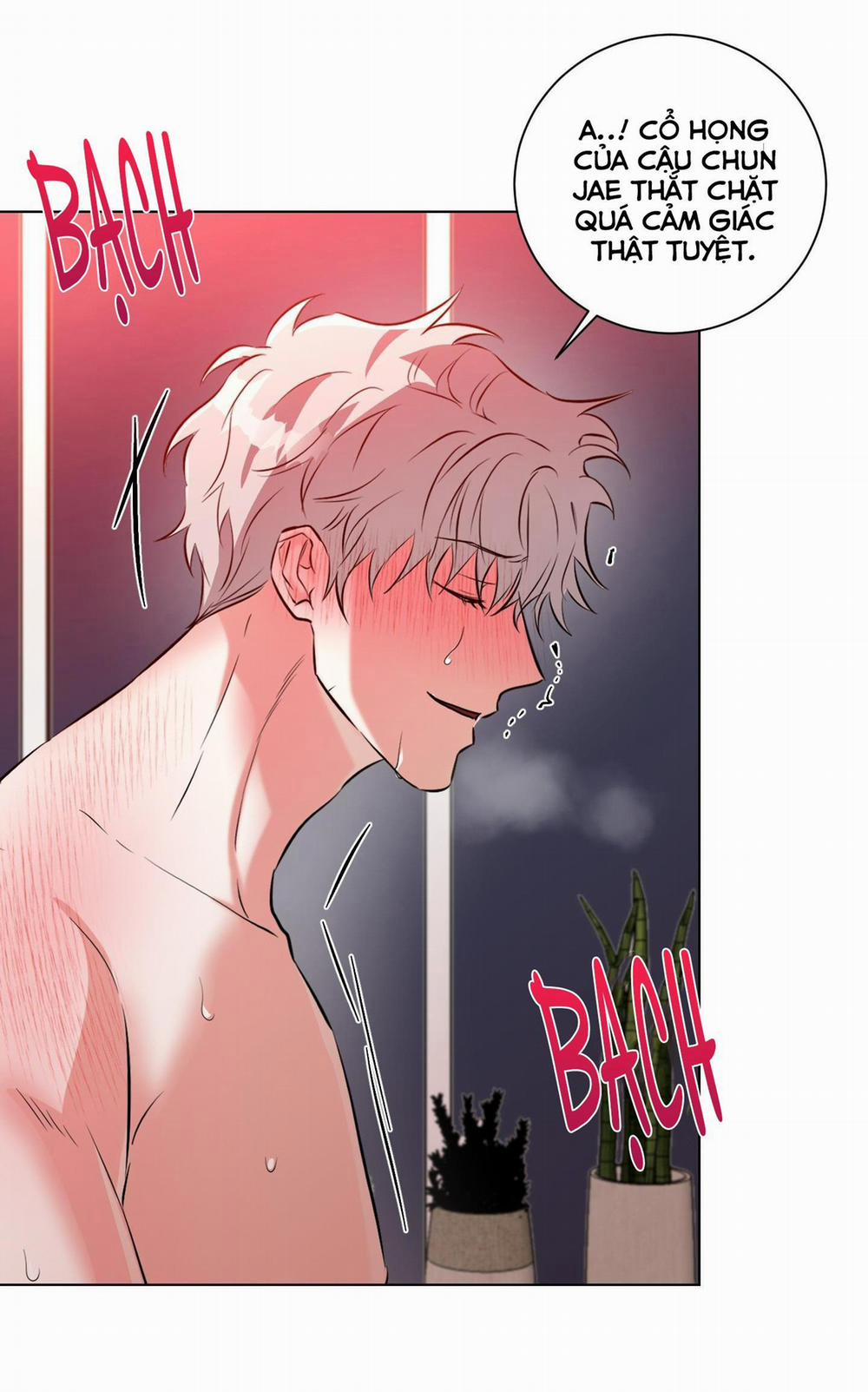 NÊN NẮM TAY TRƯỚC SAO? 6 trang 38