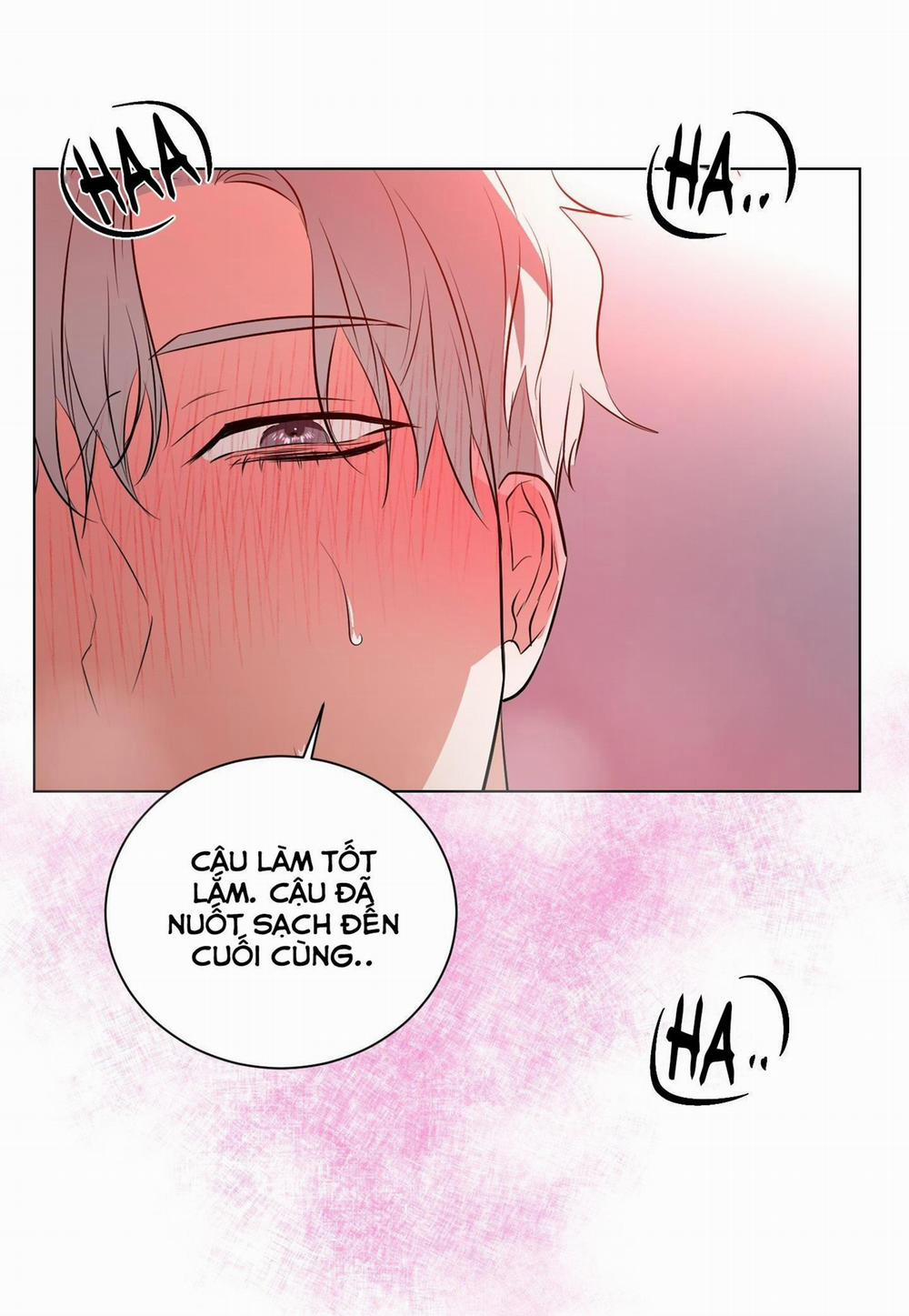 NÊN NẮM TAY TRƯỚC SAO? 6 trang 44