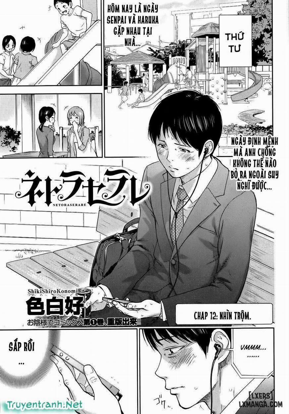 Netoraserare 12 trang 0