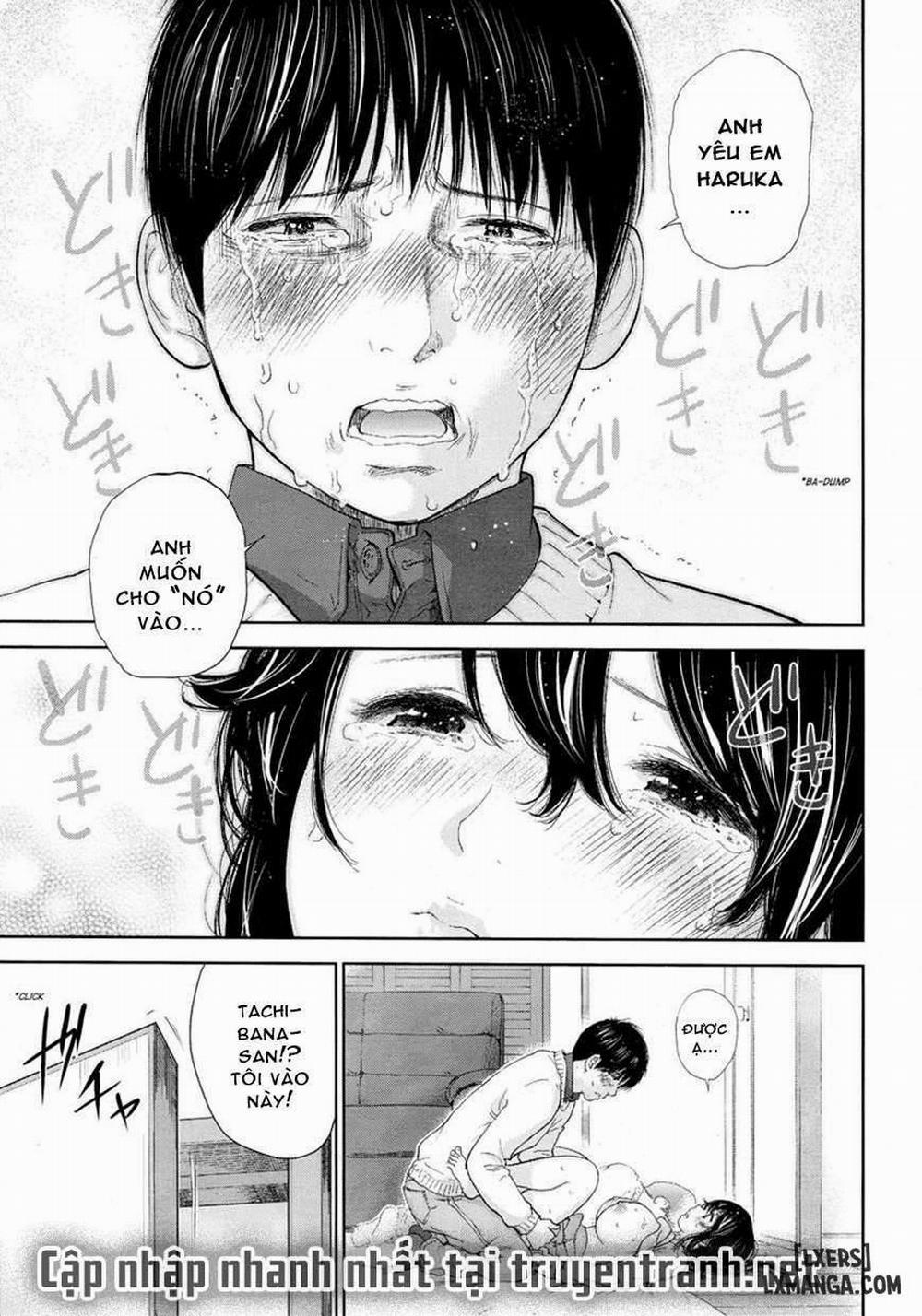 Netoraserare 24 trang 22