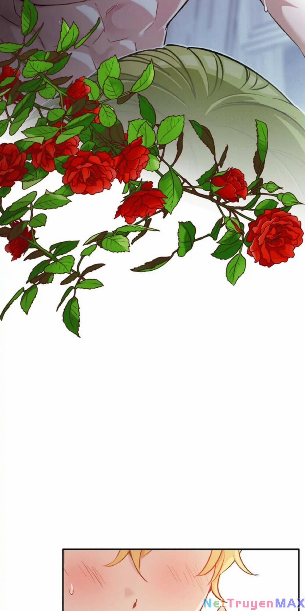 Nếu Bị Phát Hiện Liệu Tôi Có Chết Không 27 trang 37