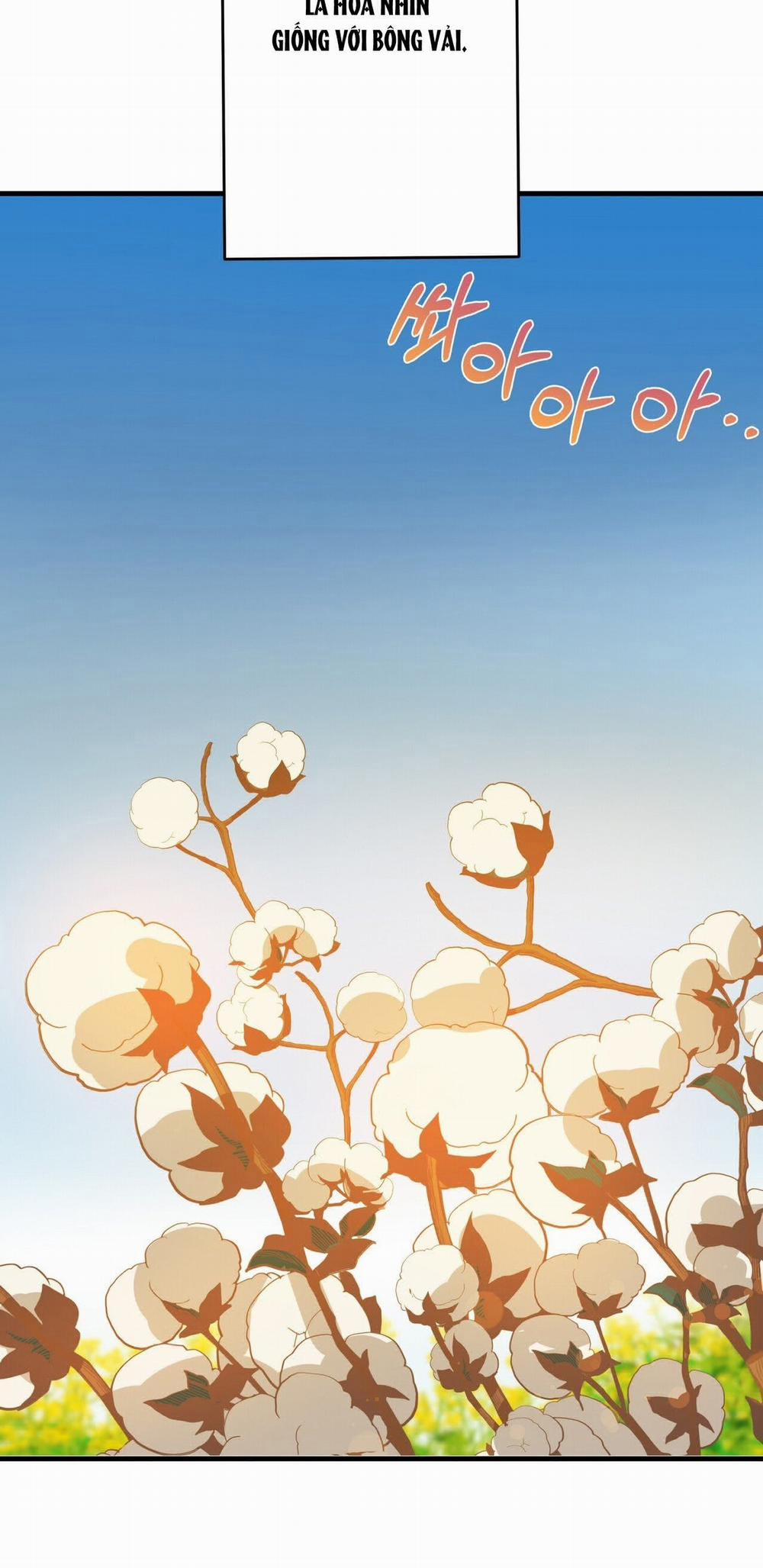 Nếu Ngài Cần Một Người Em Gái Giả 10.2 trang 22