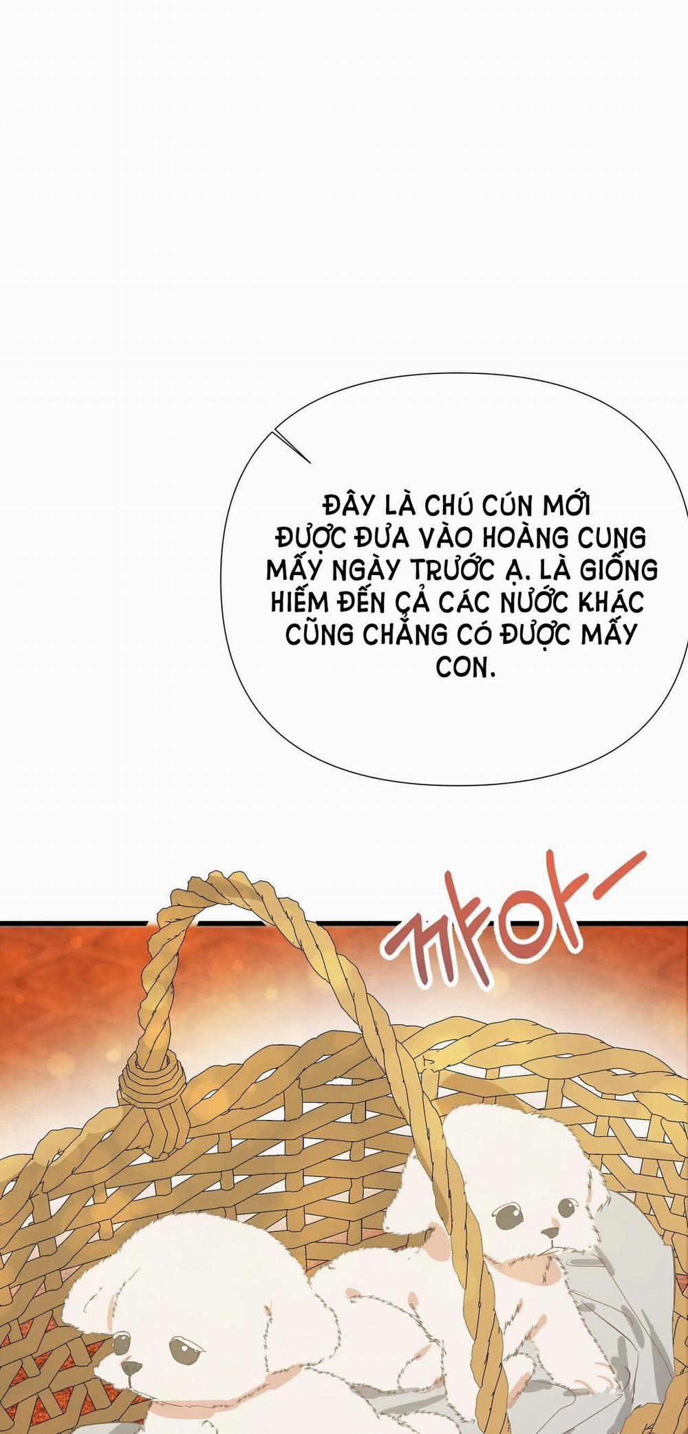 Nếu Ngài Cần Một Người Em Gái Giả 7.1 trang 0