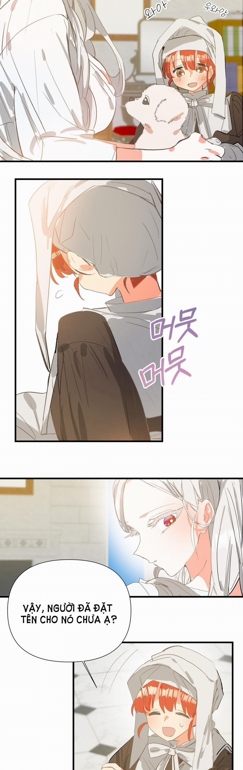 Nếu Ngài Cần Một Người Em Gái Giả 7.1 trang 15