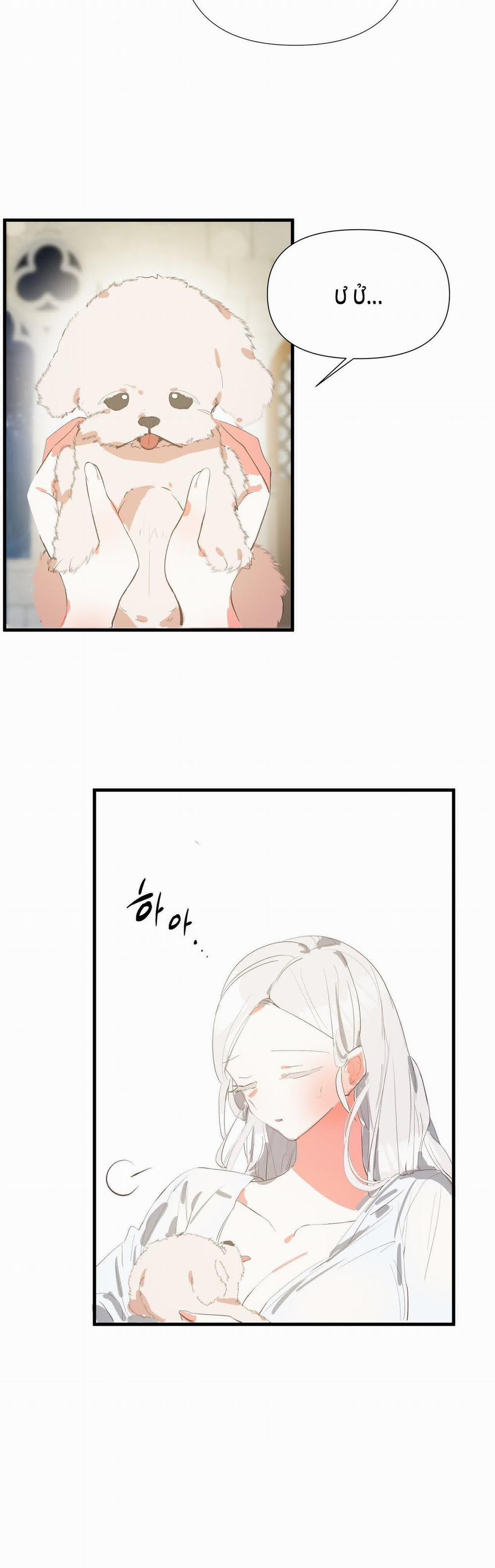 Nếu Ngài Cần Một Người Em Gái Giả 7.1 trang 19