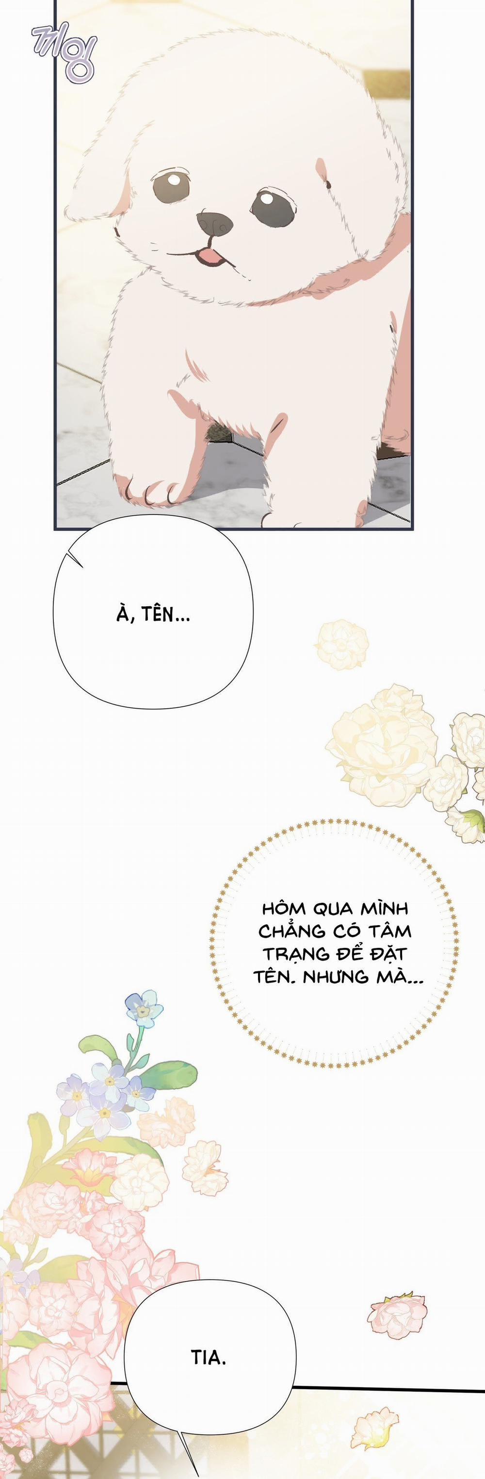 Nếu Ngài Cần Một Người Em Gái Giả 8.1 trang 2