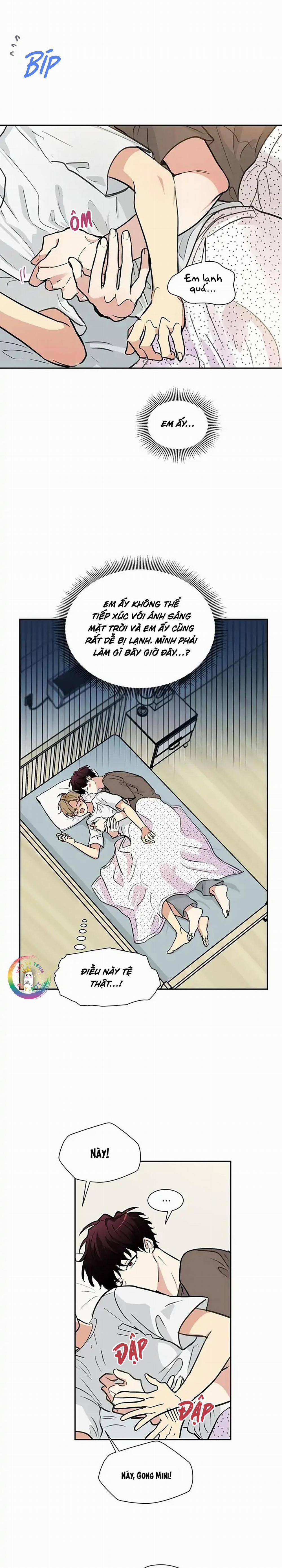 Nếu Như Cậu Bạn Hàng Xóm Là Vampire? (End) 3 trang 2