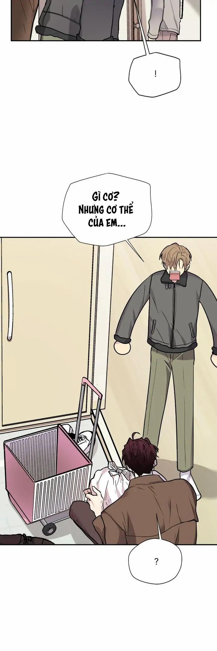 Nếu Như Cậu Bạn Hàng Xóm Là Vampire? (End) 61 Endchínhtruyện trang 11