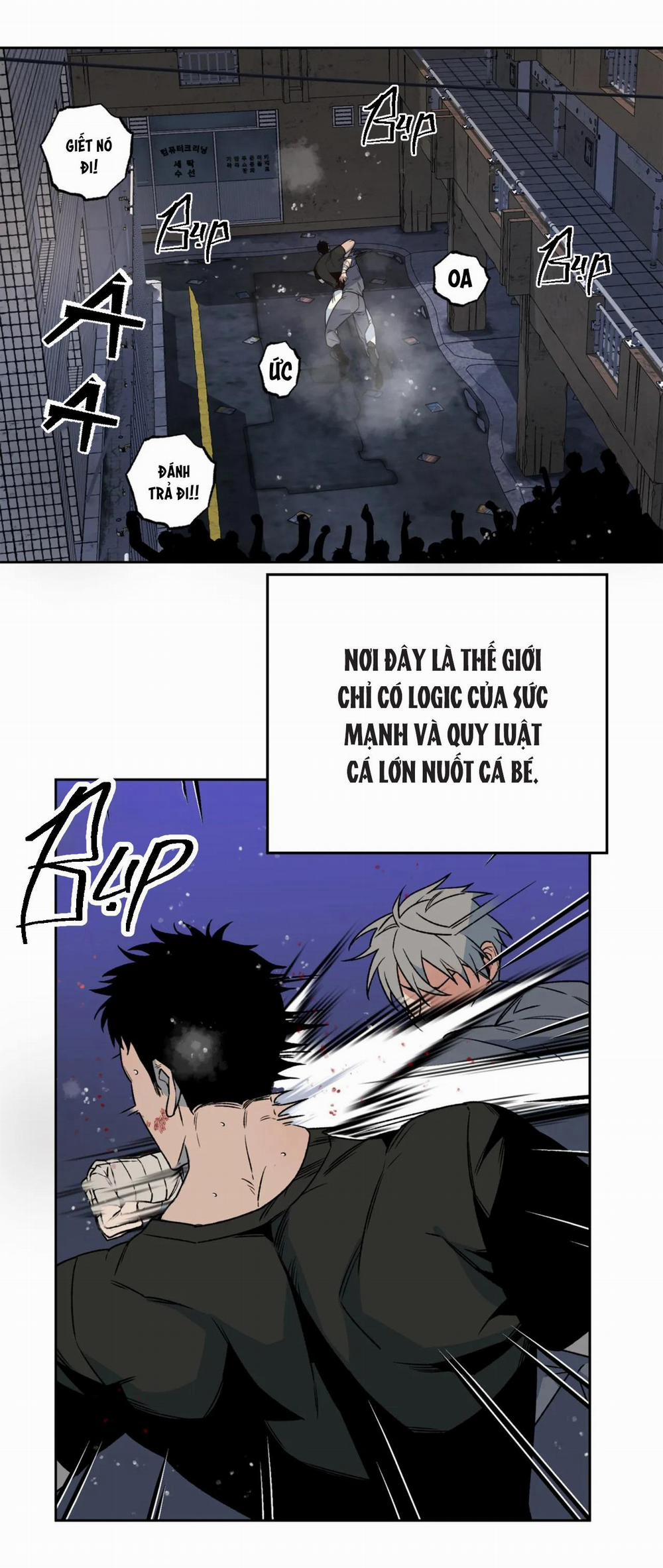 NEW ROMANCE 1 trang 2