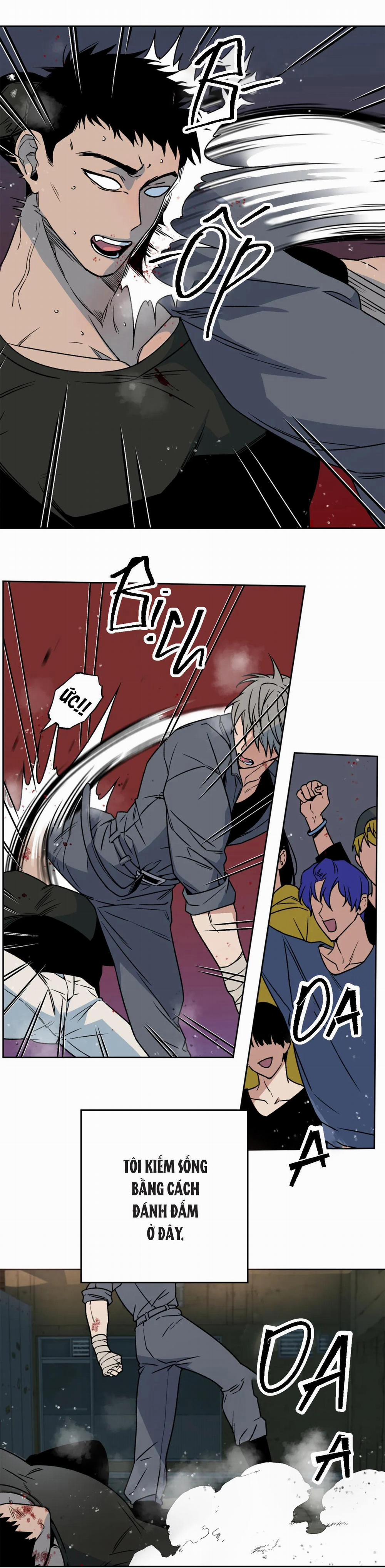 NEW ROMANCE 1 trang 3