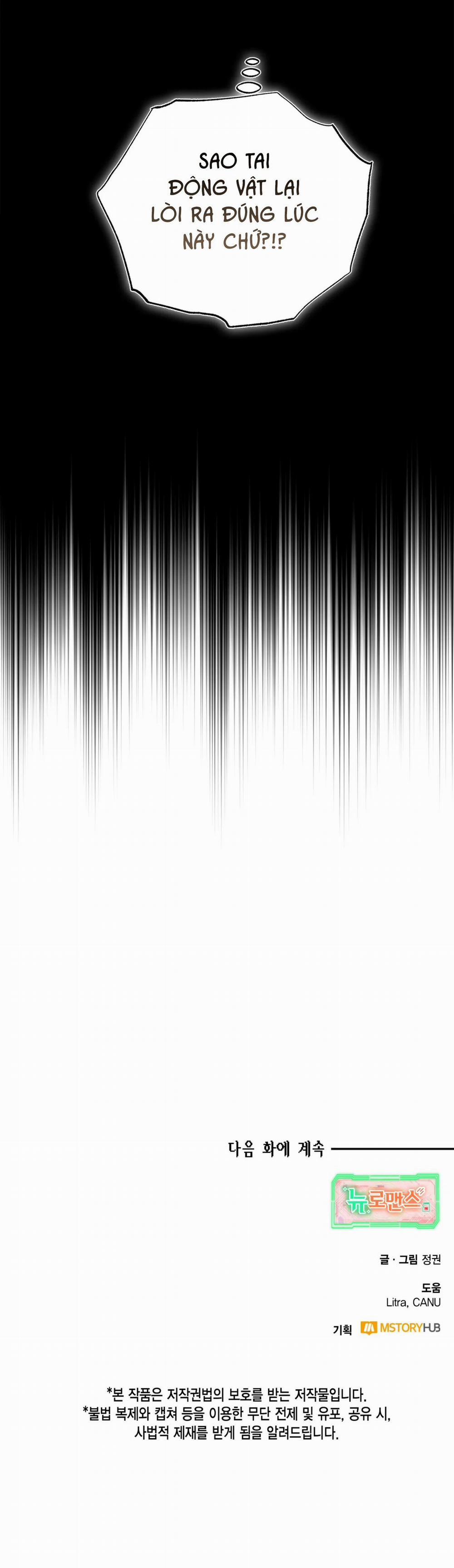 NEW ROMANCE 1 trang 46