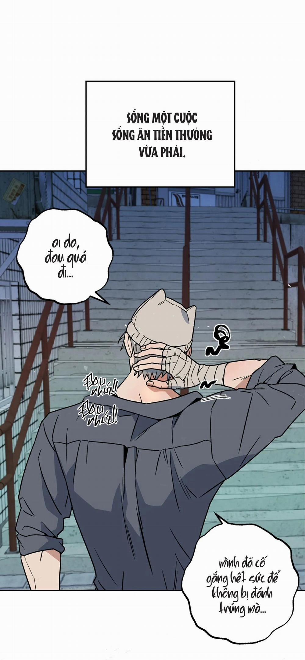 NEW ROMANCE 1 trang 6