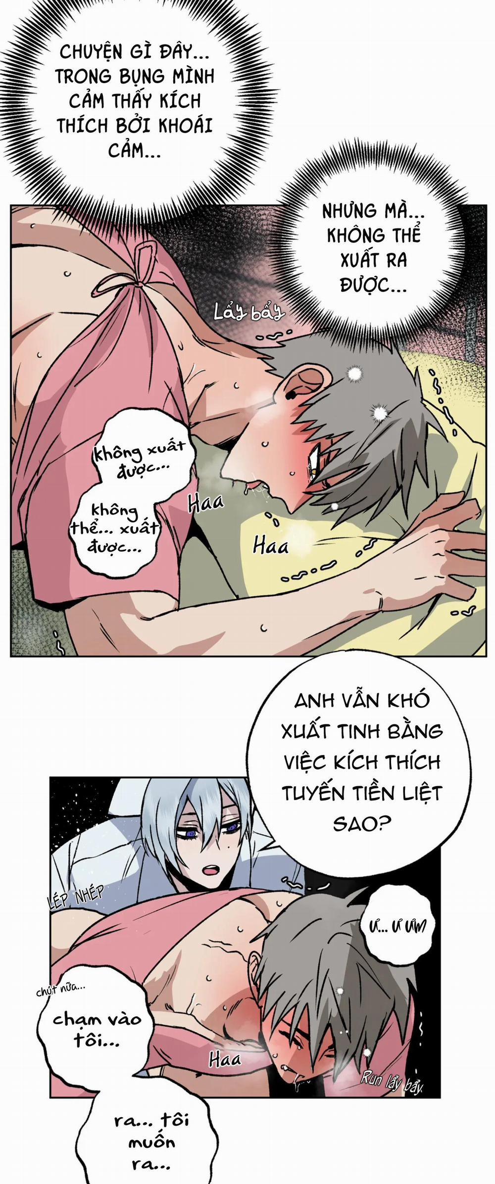 NEW ROMANCE 10 trang 4