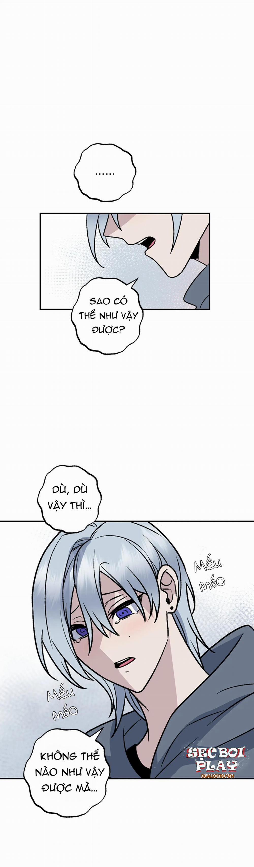 NEW ROMANCE 11 trang 0