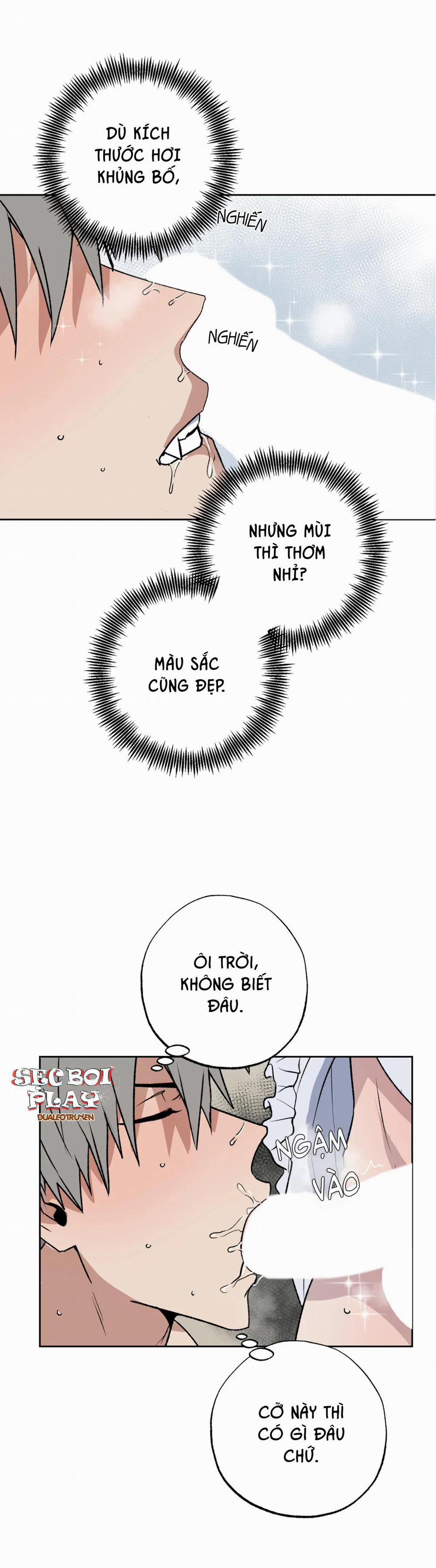 NEW ROMANCE 12 trang 1