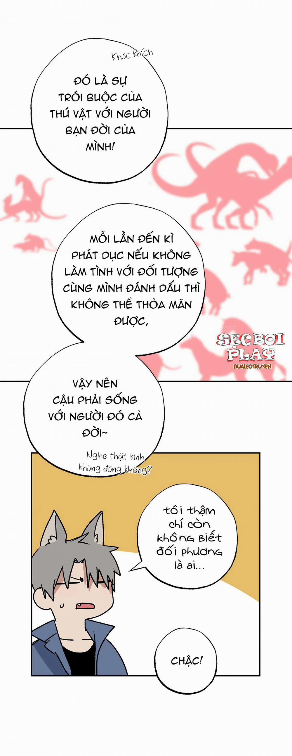 NEW ROMANCE 14 trang 12