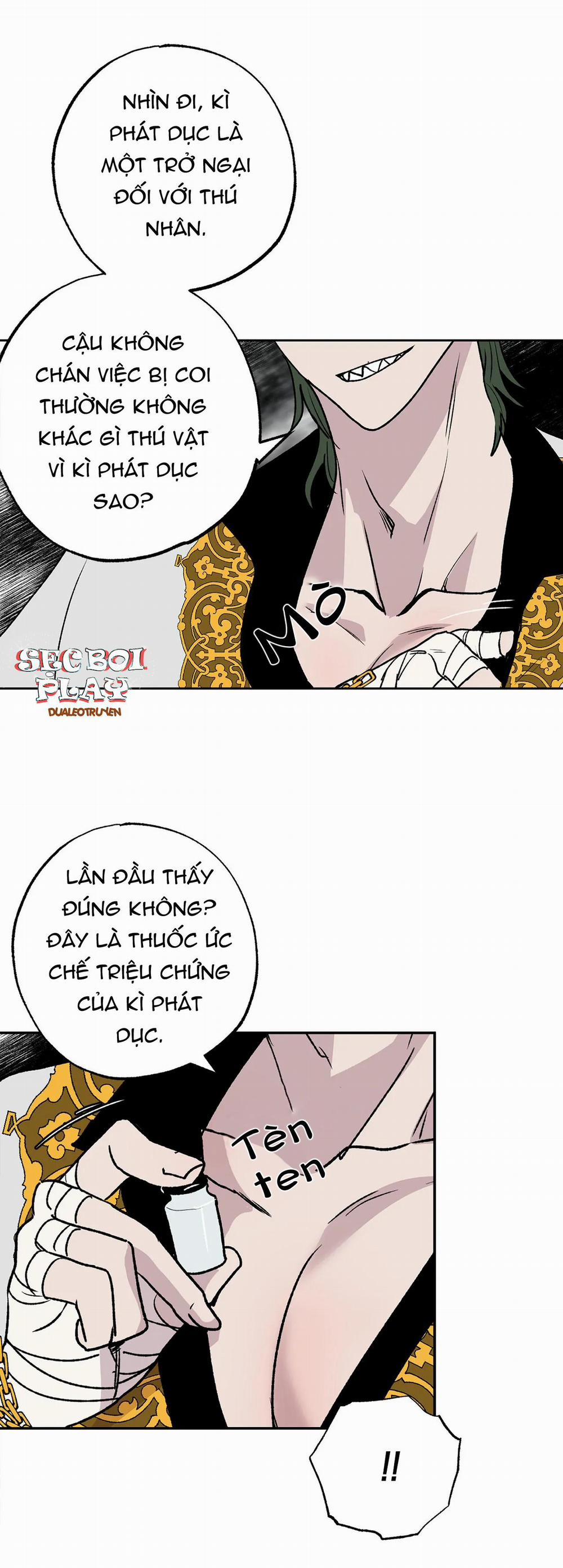 NEW ROMANCE 14 trang 13