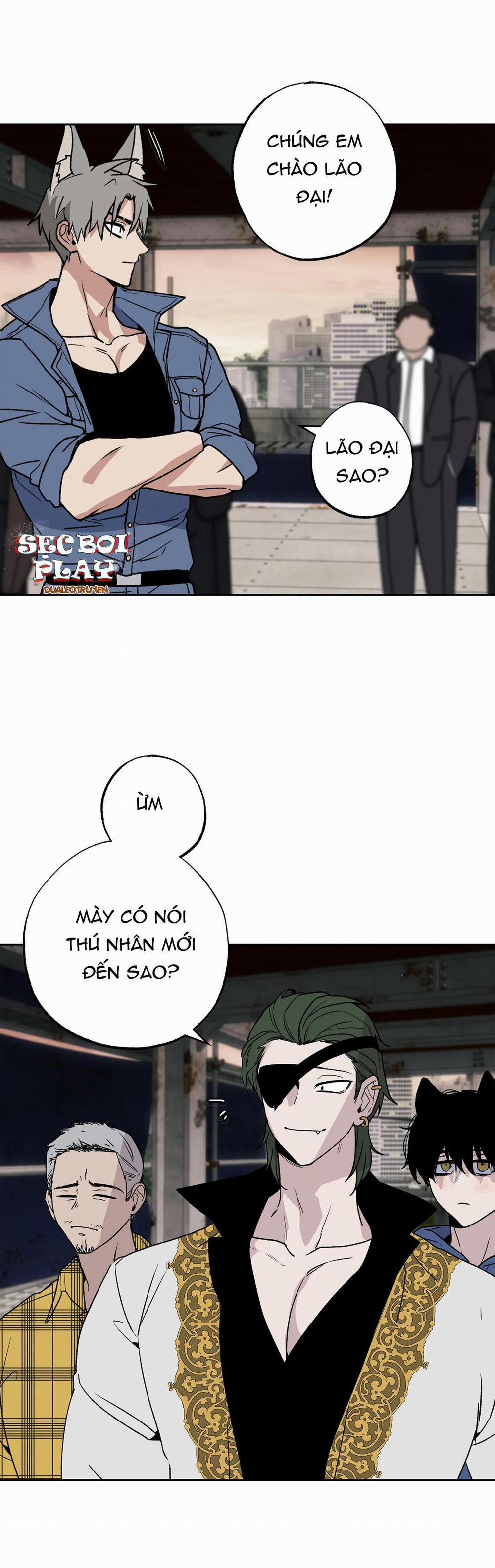 NEW ROMANCE 14 trang 7