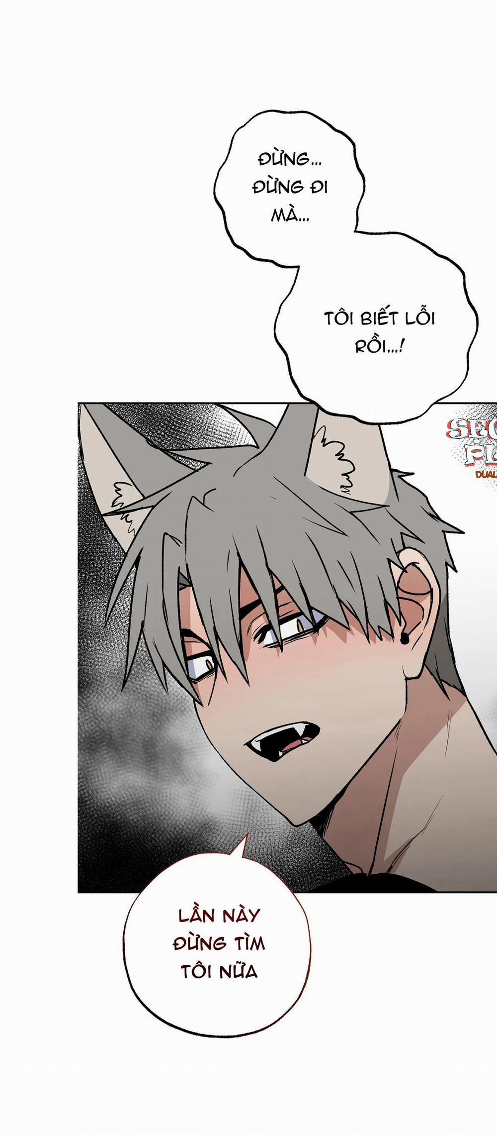 NEW ROMANCE 15 trang 37