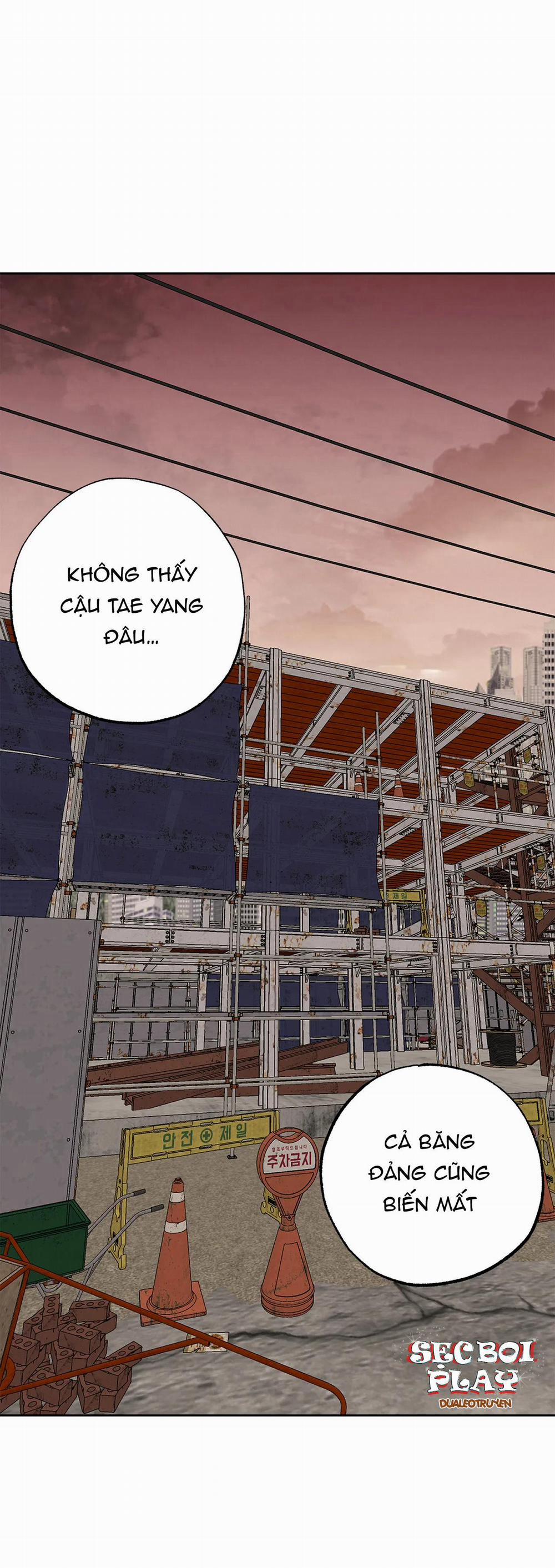 NEW ROMANCE 16 trang 0