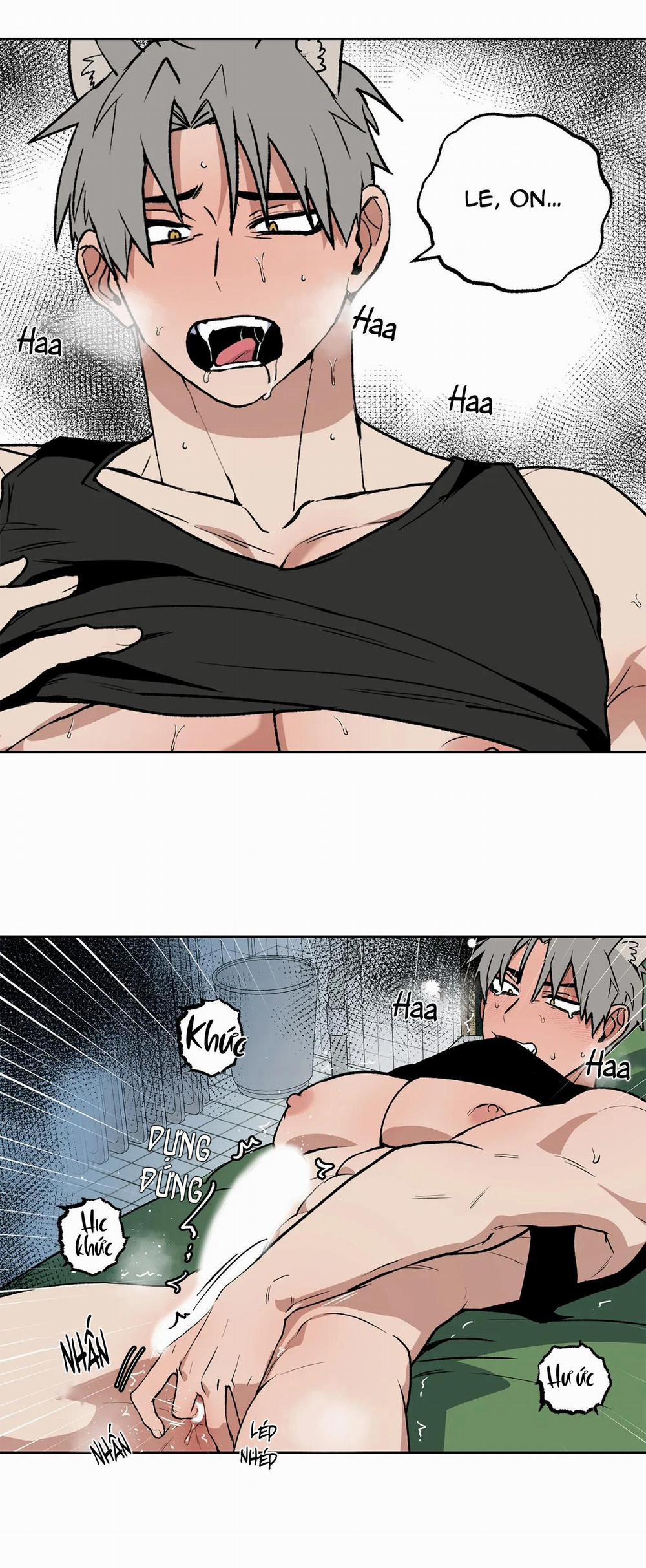 NEW ROMANCE 16 trang 22